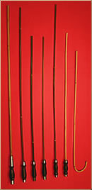 cane_selection.jpg (8792 bytes)