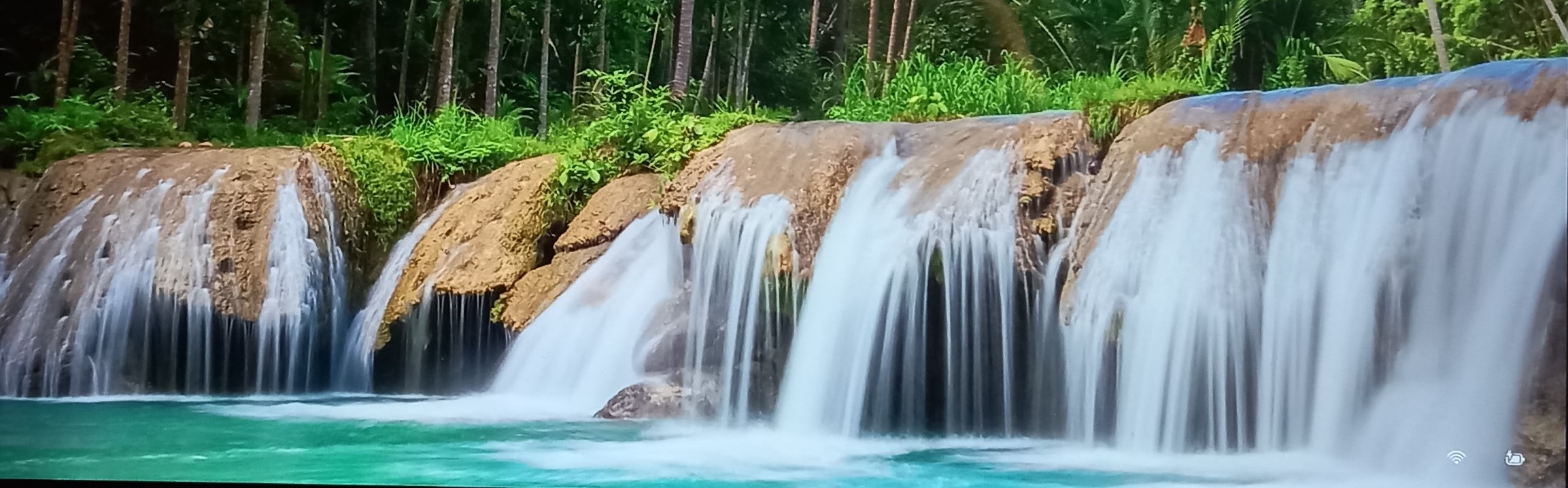 A picture containing tree, nature, water, waterfall